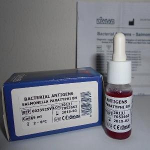 DIALAB Salmonella Paratyphi BH